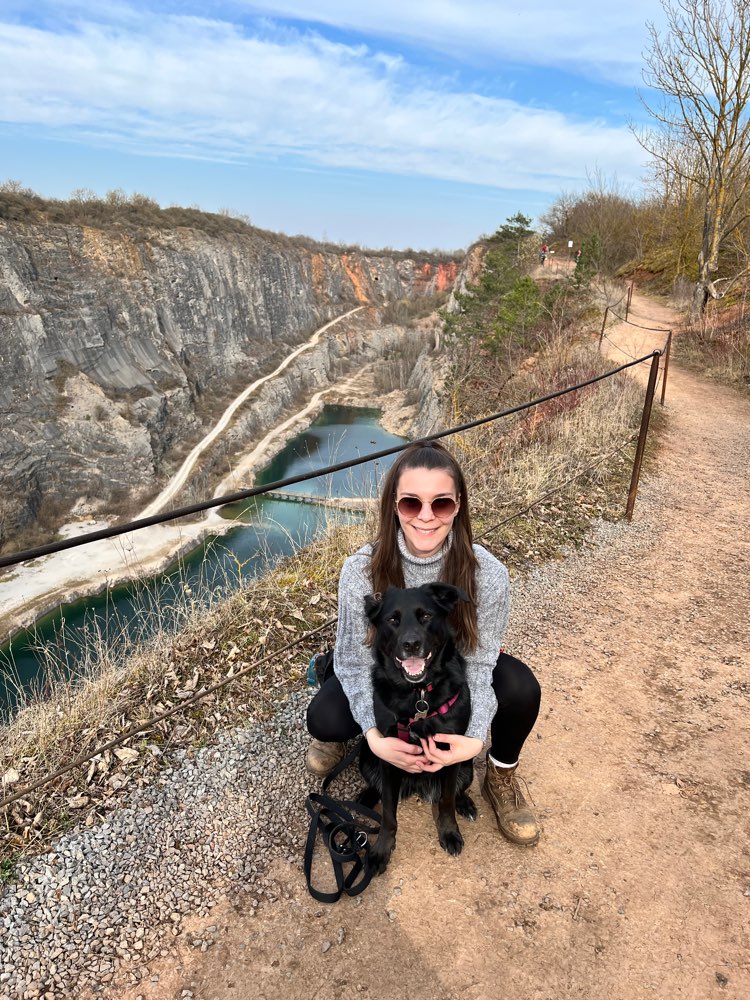 Hundetreffen-Social Walk/ Hundebegegnung-Profilbild