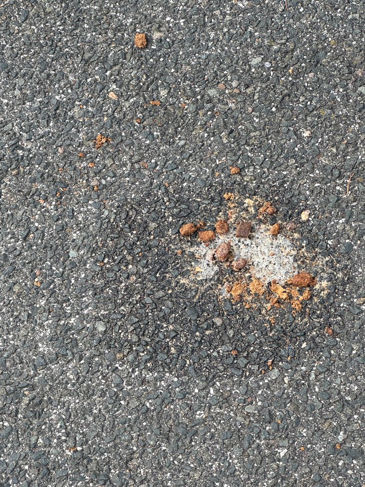 Giftköder-Leckerlis mit weißem Schleier-Profilbild