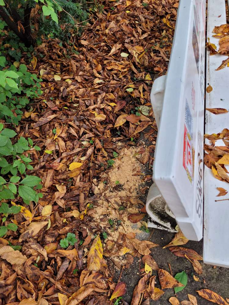 Giftköder-Evtl. Giftköder-Profilbild