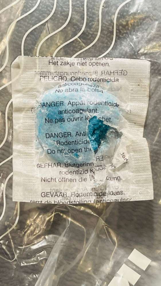 Giftköder-Rattengift-Profilbild