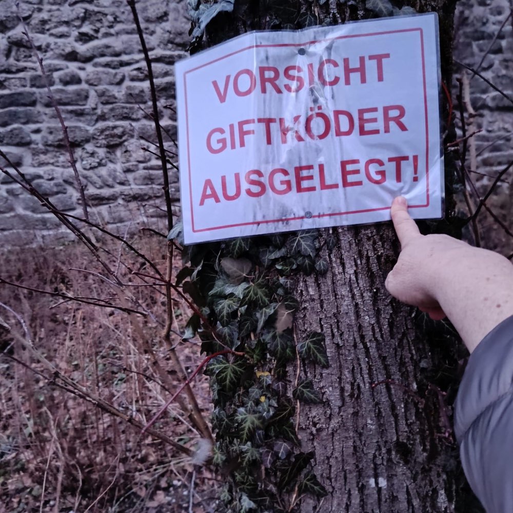 Giftköder-Giftköder Warnung Burg Gruttenstein-Profilbild