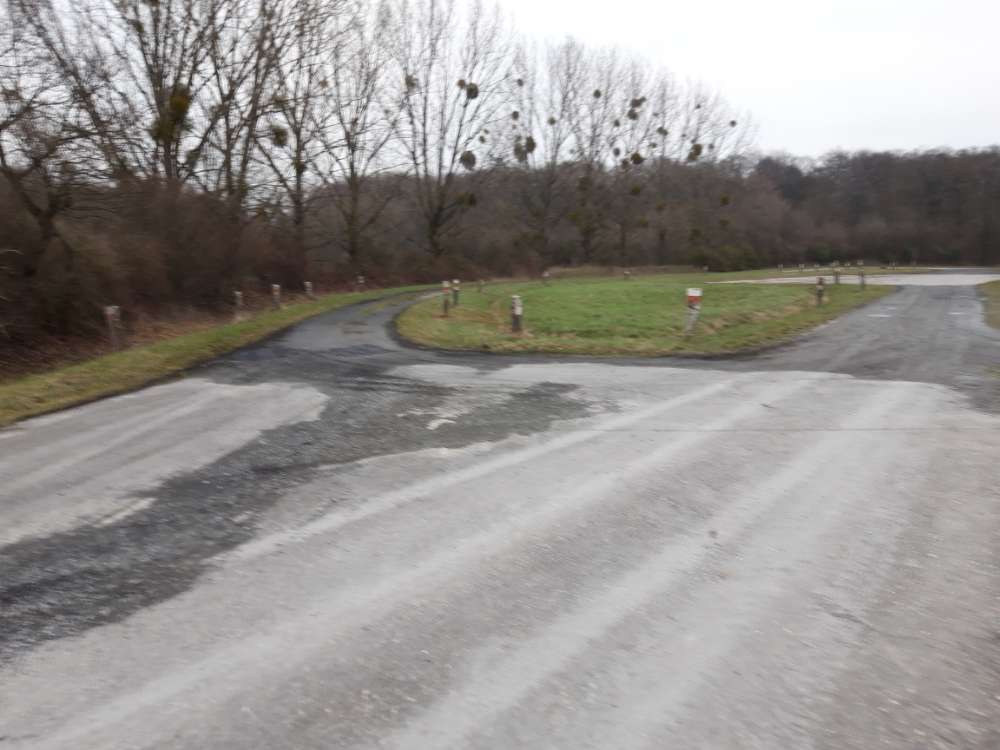 Giftköder-Giftköder Truppenübungsplatz Ahlen-Profilbild