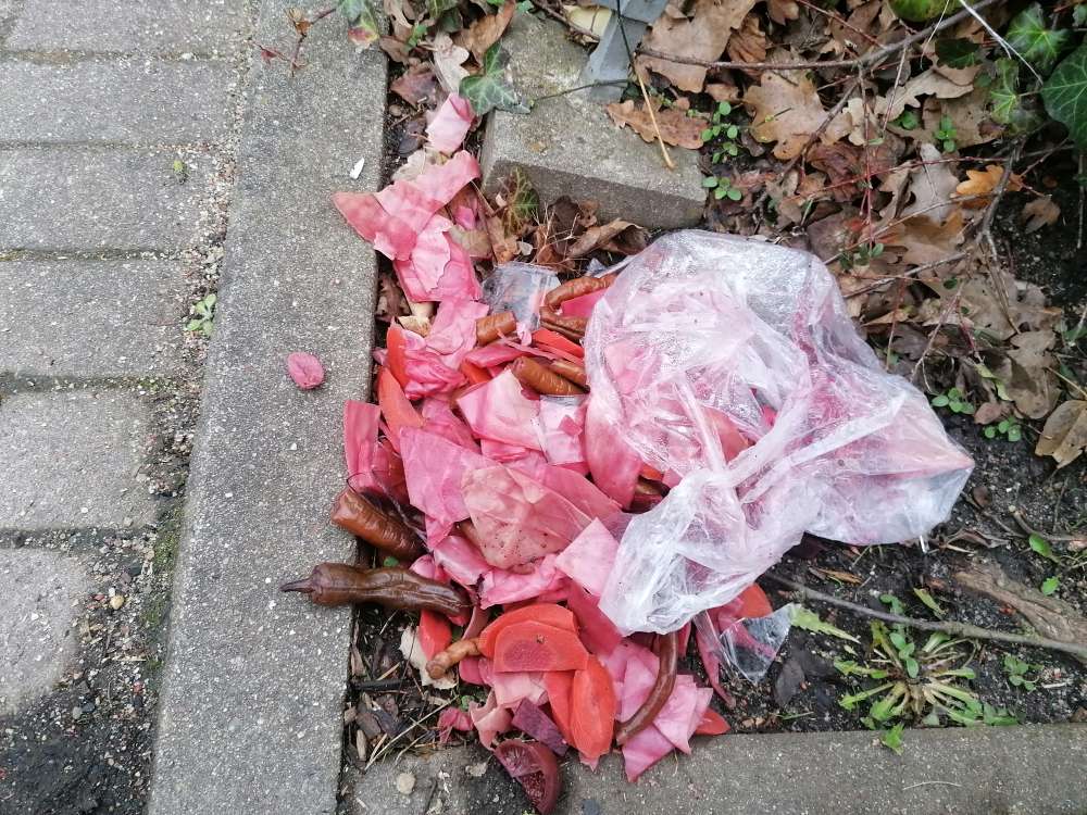 Giftköder-Lebensmittel mit Glasscherben-Profilbild