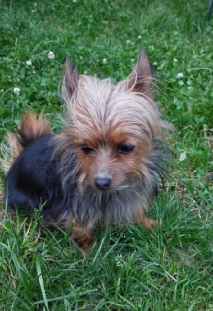 Suchmeldung-Leila-Profilbild