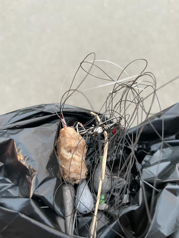 Giftköder-Giftköder an der alten Weser-Profilbild