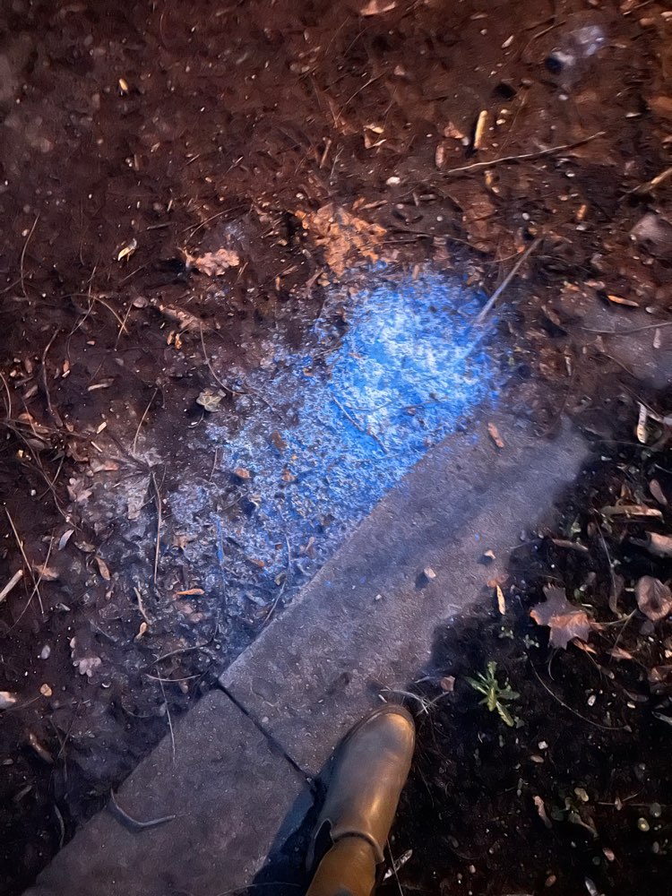 Giftköder-Leckerli und Fleischreste-Profilbild