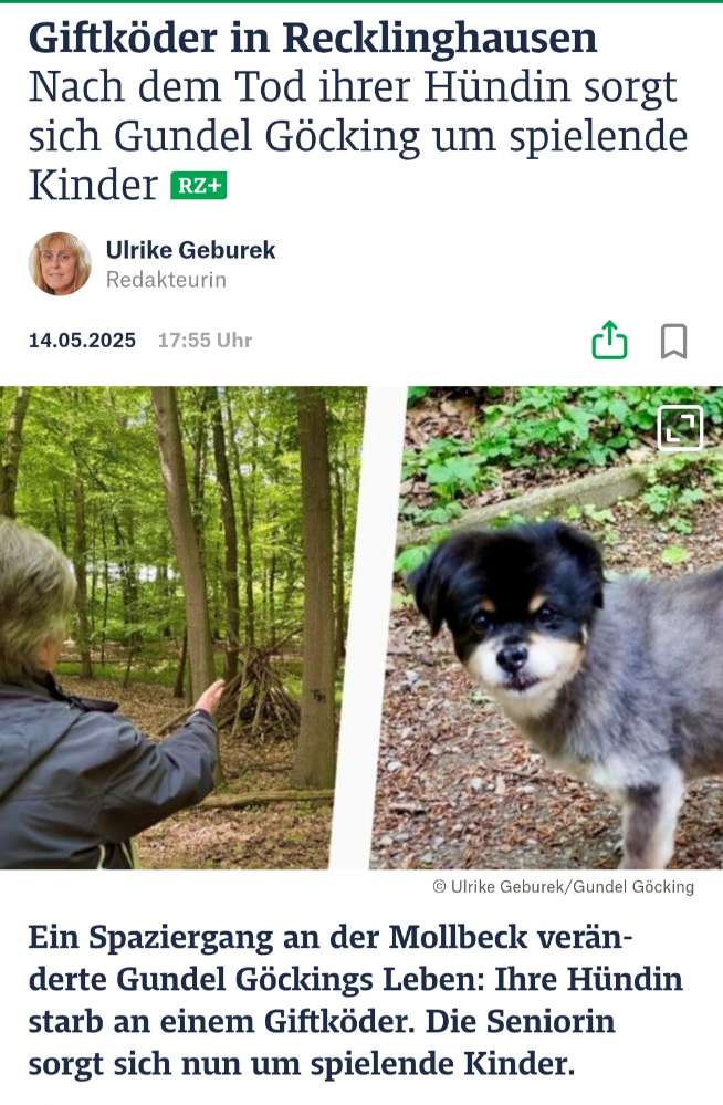Giftköder-Giftköderfund an der Mollbeck-Profilbild
