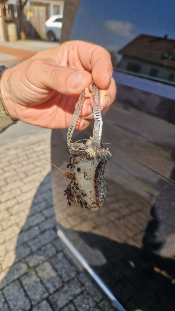 Giftköder-Speckköder mit Metall Schlauch Schelle-Profilbild