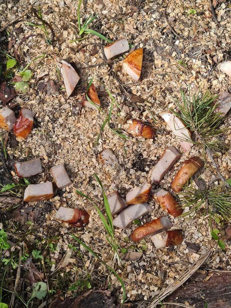 Giftköder-Ausgelegtes Fleisch-Profilbild