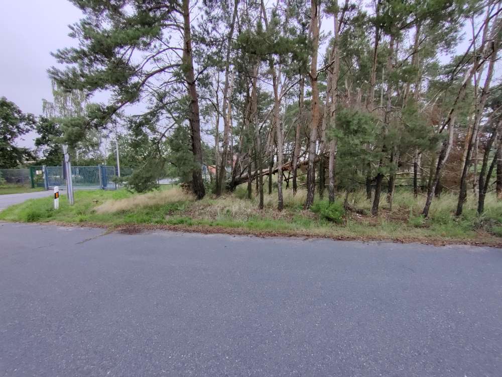 Giftköder-Würstchen im Gebüsch neben dem Klärwerk-Profilbild