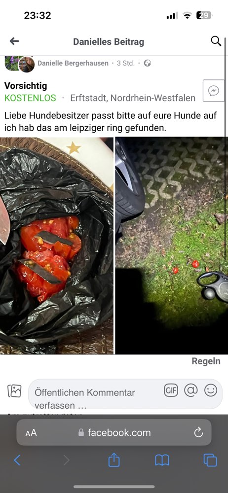 Giftköder-Tomaten mit Rasierklingen-Profilbild
