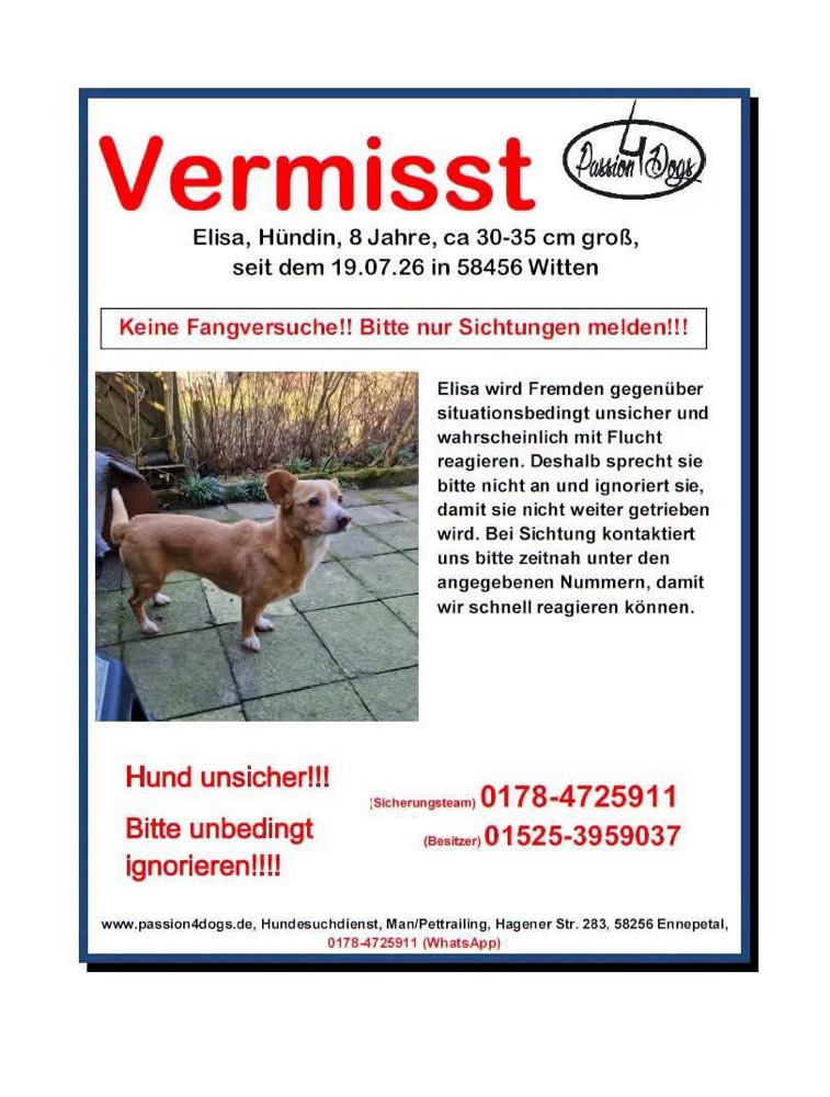 Suchmeldung-Elisa-Profilbild