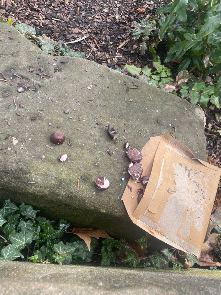 Giftköder-Giftköder-Profilbild