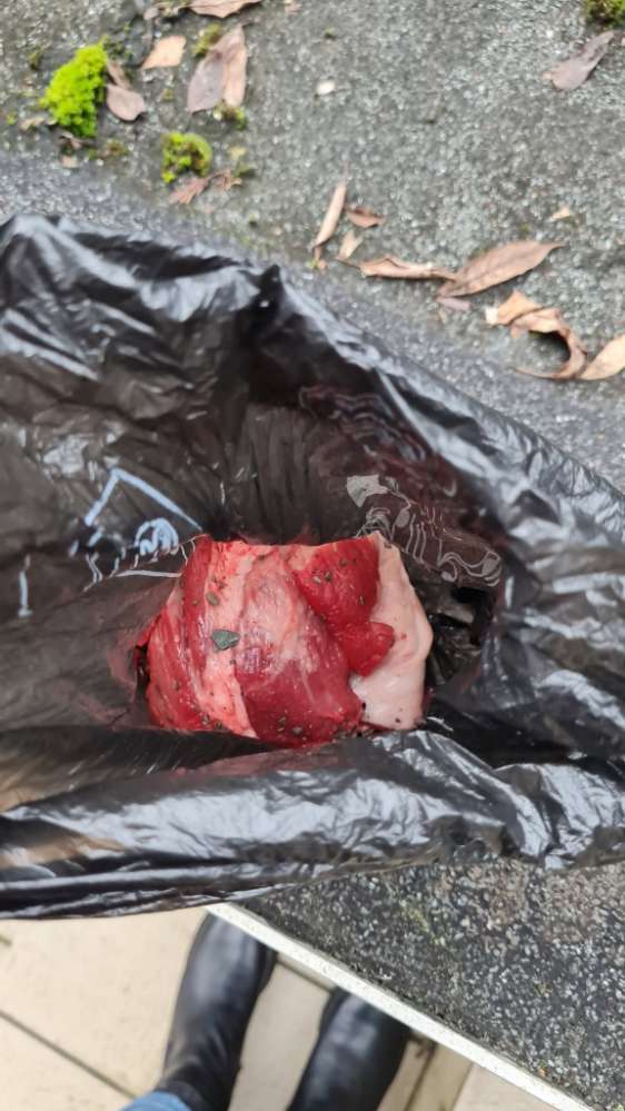 Giftköder-Fleisch - Giftköder-Profilbild