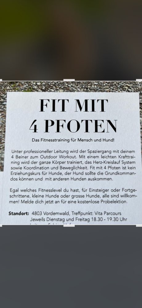 Hundetreffen-Fit mit 4 Pfoten-Profilbild