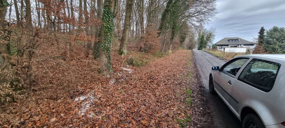 Giftköder-Weißliche Substanz große Menge-Profilbild