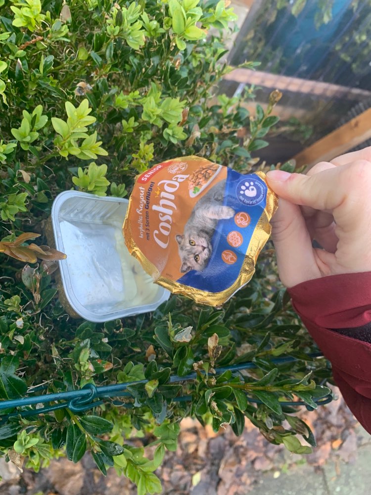 Giftköder-Evtl. Giftköder in Katzenfutterdosen-Profilbild