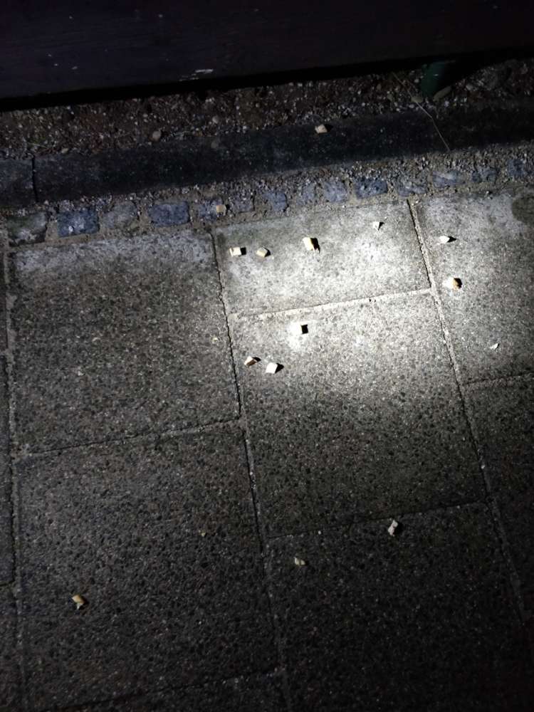 Giftköder-Giftköder (kleingeschn. Hühnchen)-Profilbild