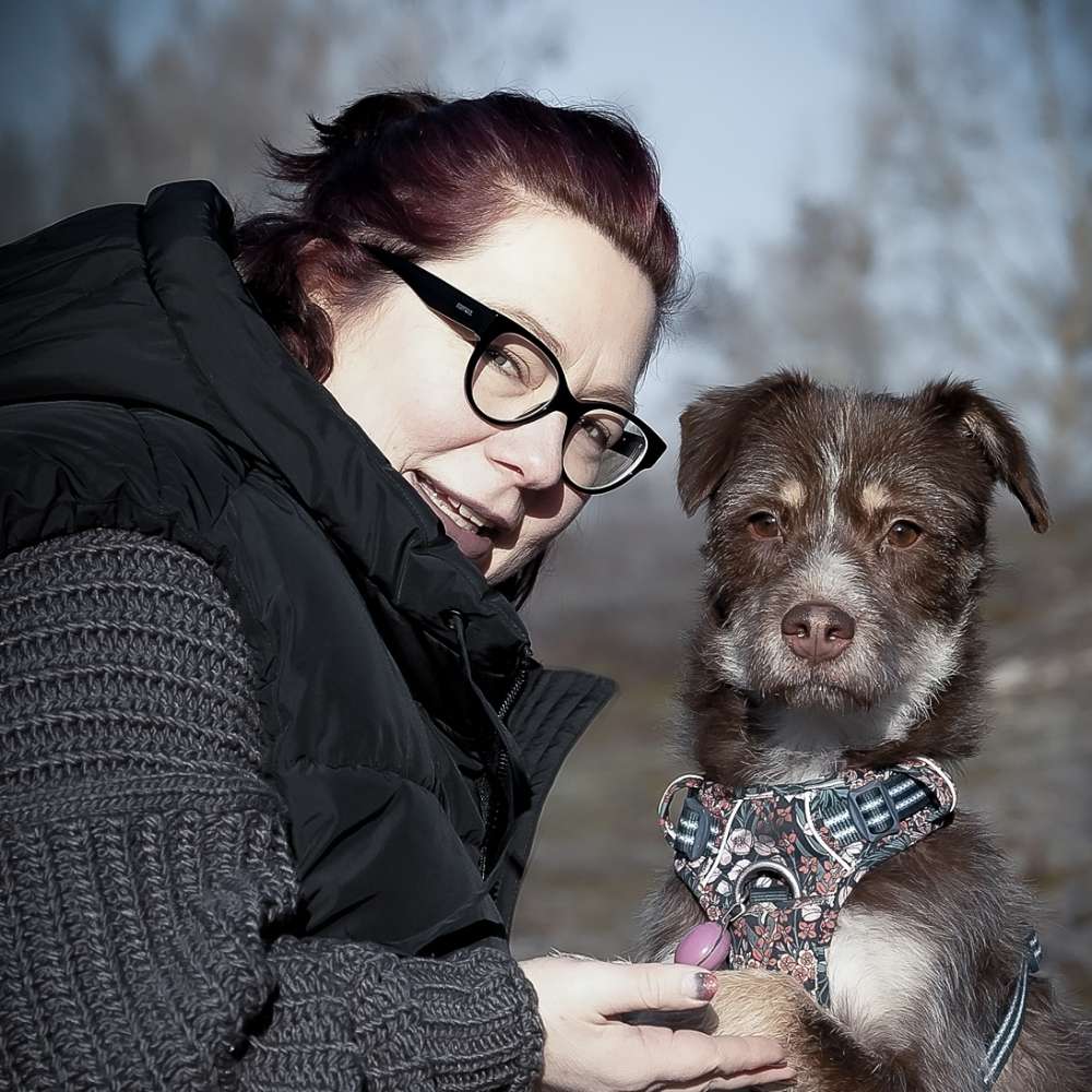 Ersteller:in Hundebegegnungen trainieren Profilbild