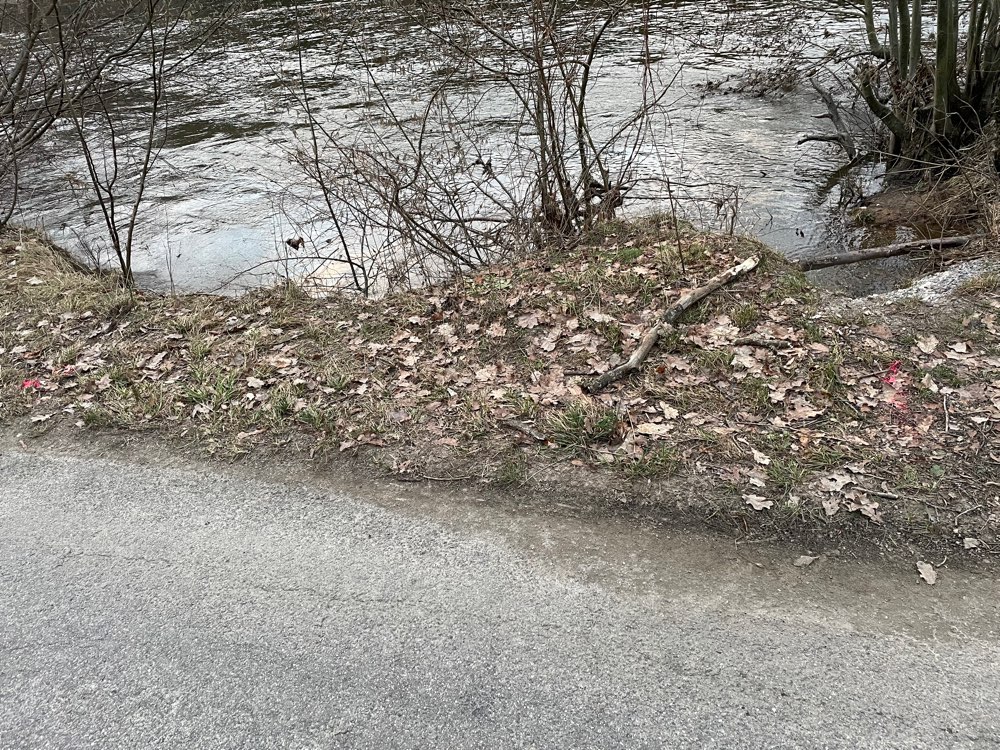 Giftköder-Evtl. Gift an der Naab-Profilbild