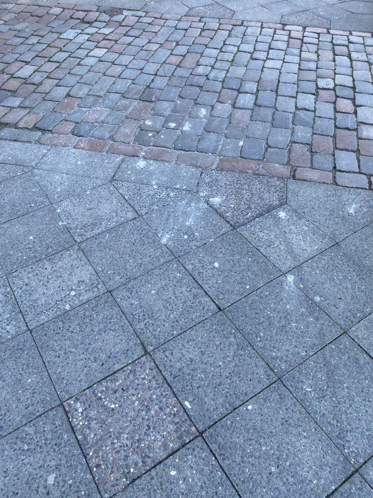 Giftköder-Weißes Pulver-Profilbild