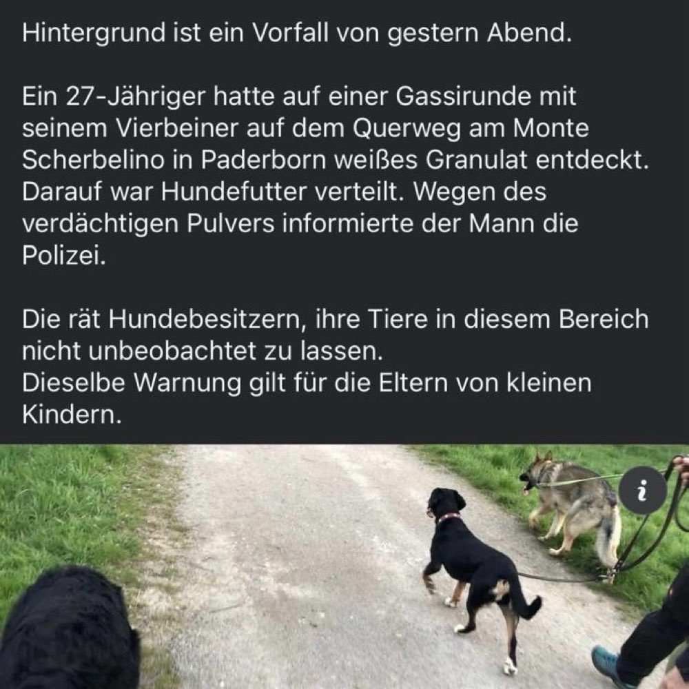 Giftköder-Giftköder-Profilbild