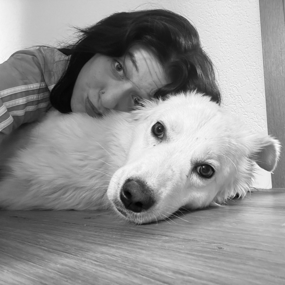 Hundetreffen-Gassi gehen und neue Gassi partner/in finden-Profilbild