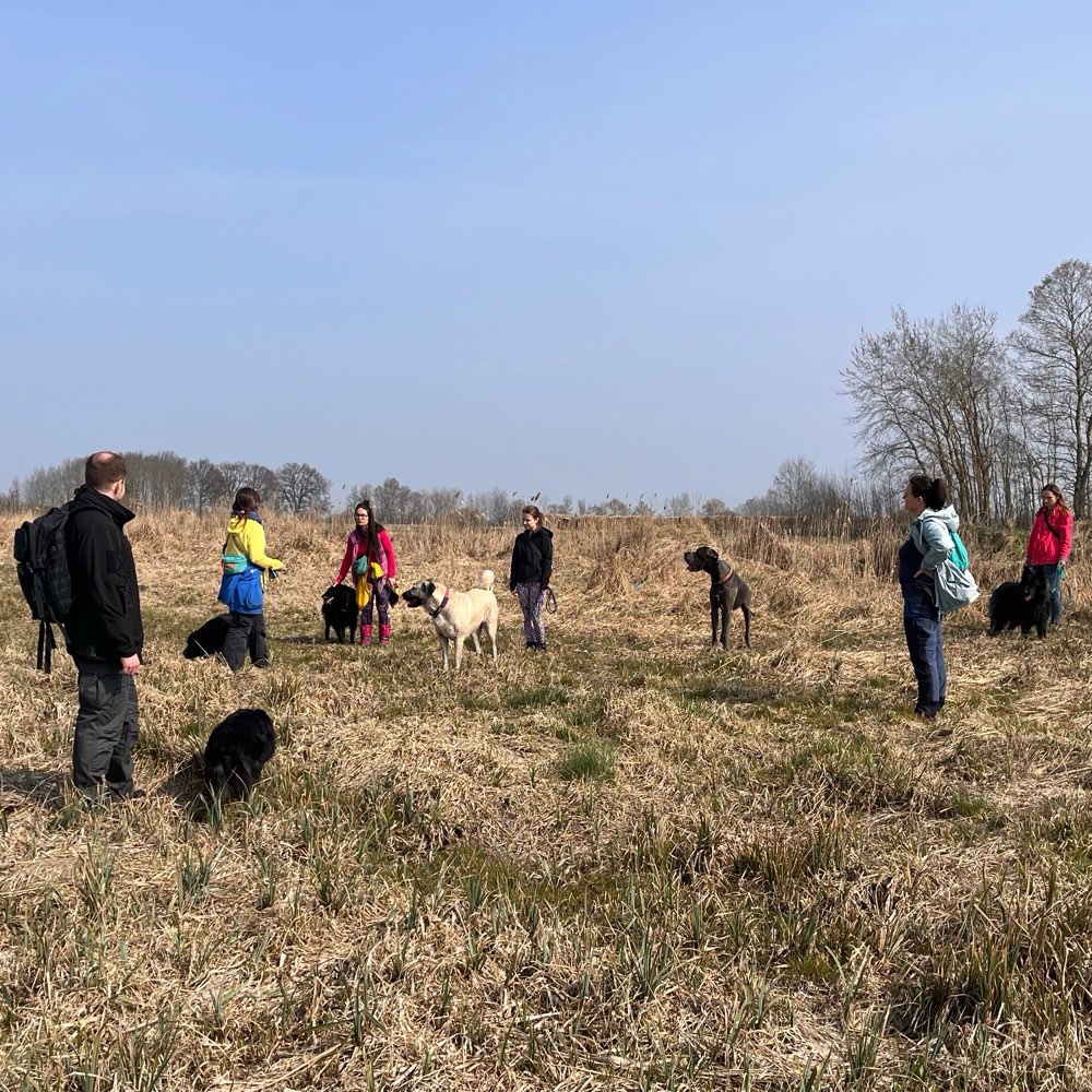 Hundetreffen-Social Walk-Profilbild
