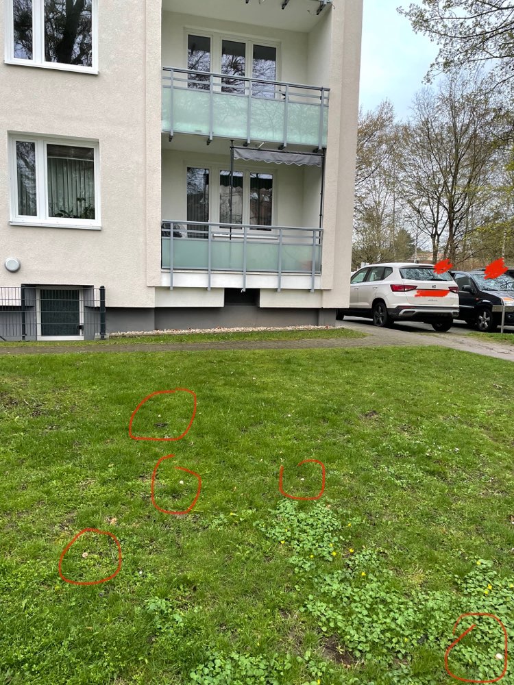 Giftköder-Vermutlicher Giftköder-Profilbild