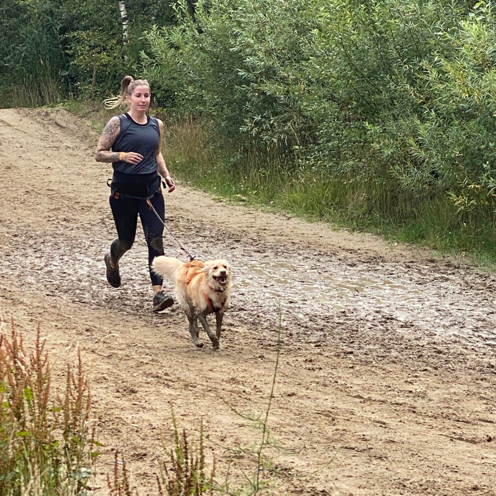 Hundetreffen-Zughundesport (CaniCross)-Profilbild