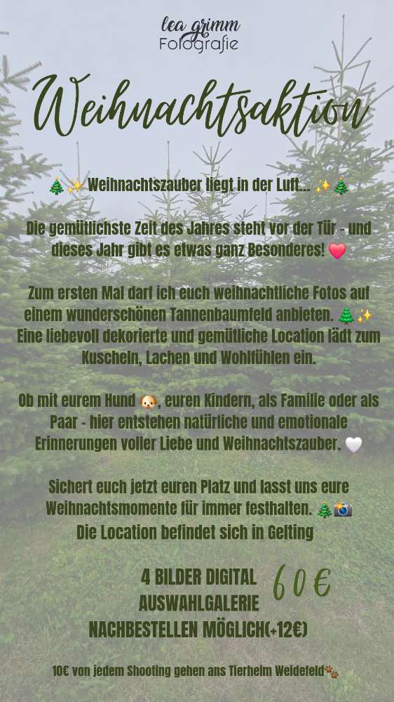 Hundetreffen-Fotoshooting-Profilbild