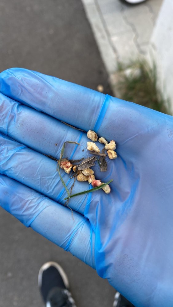 Giftköder-Vermeintlich Giftköder-Profilbild