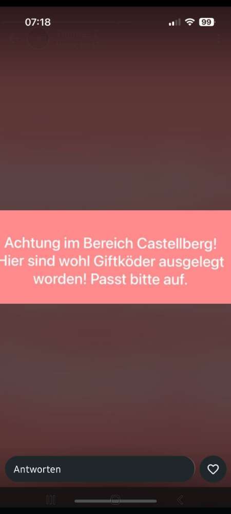 Giftköder-Giftköder-Profilbild
