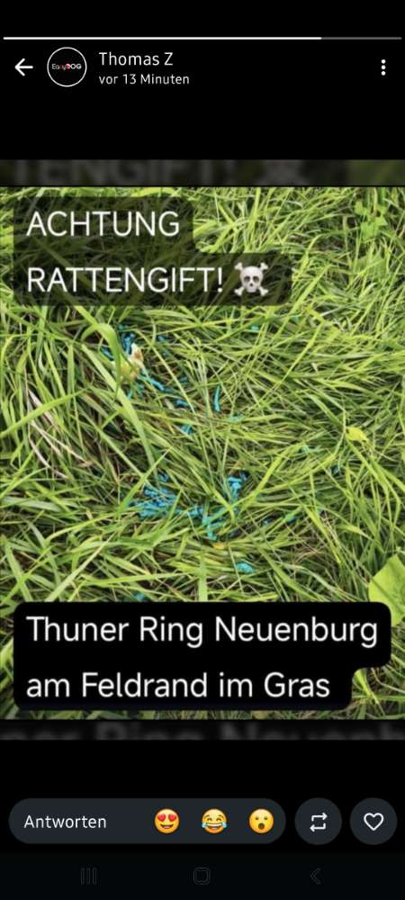 Giftköder-Rattengift-Profilbild