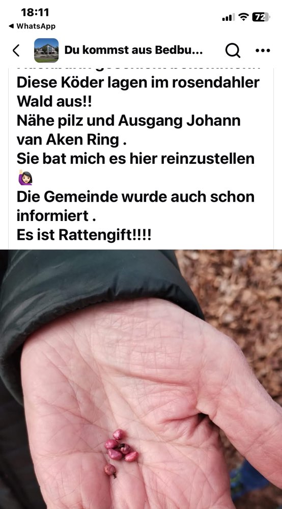 Giftköder-Gift-Profilbild