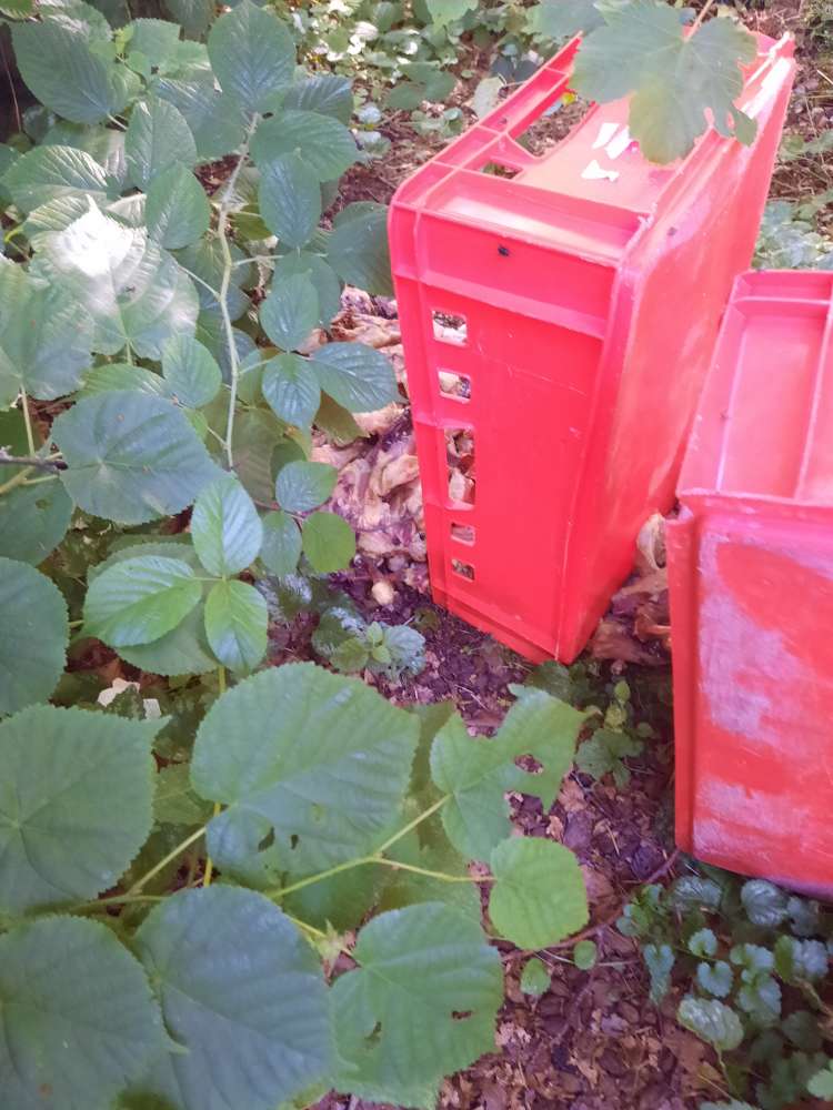 Giftköder-Schlachtabfälle-Profilbild