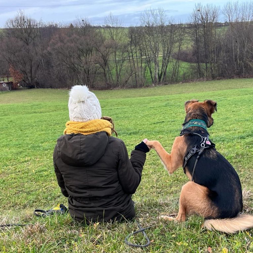 Hundetreffen-Gassi Freunde gesucht :)-Profilbild