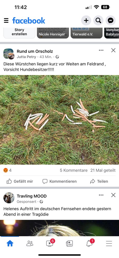 Giftköder-Wiener-Profilbild