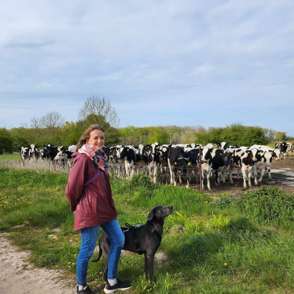 Hundetreffen-Junghunde-Treffen Nähe Bentwisch-Profilbild