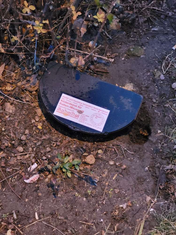 Giftköder-Rattengiftköder-Profilbild