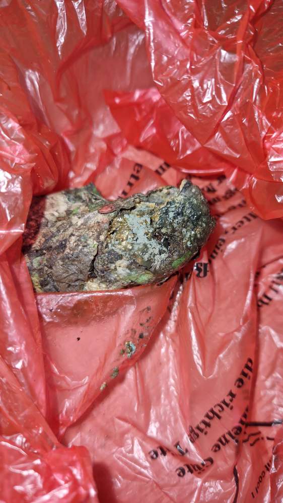 Giftköder-Evt. Giftköder-Profilbild