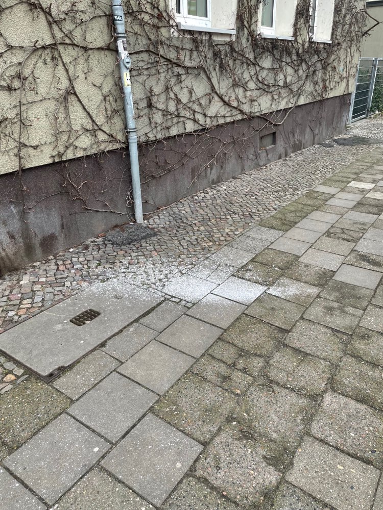 Giftköder-Frisches weißes Pulver-Profilbild