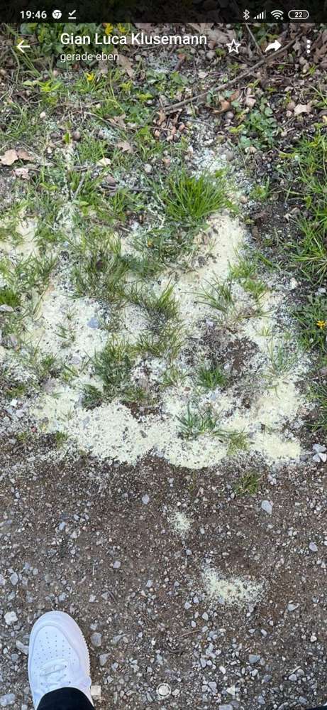 Giftköder-Komische Substanz Kleingarten Verein-Profilbild