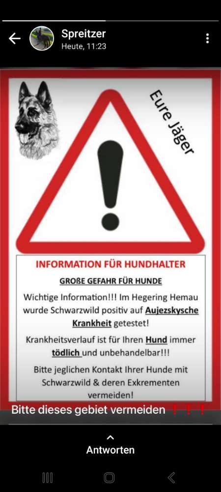 Giftköder-Aujecskysche Krankheit bei Wildschweinen-Profilbild