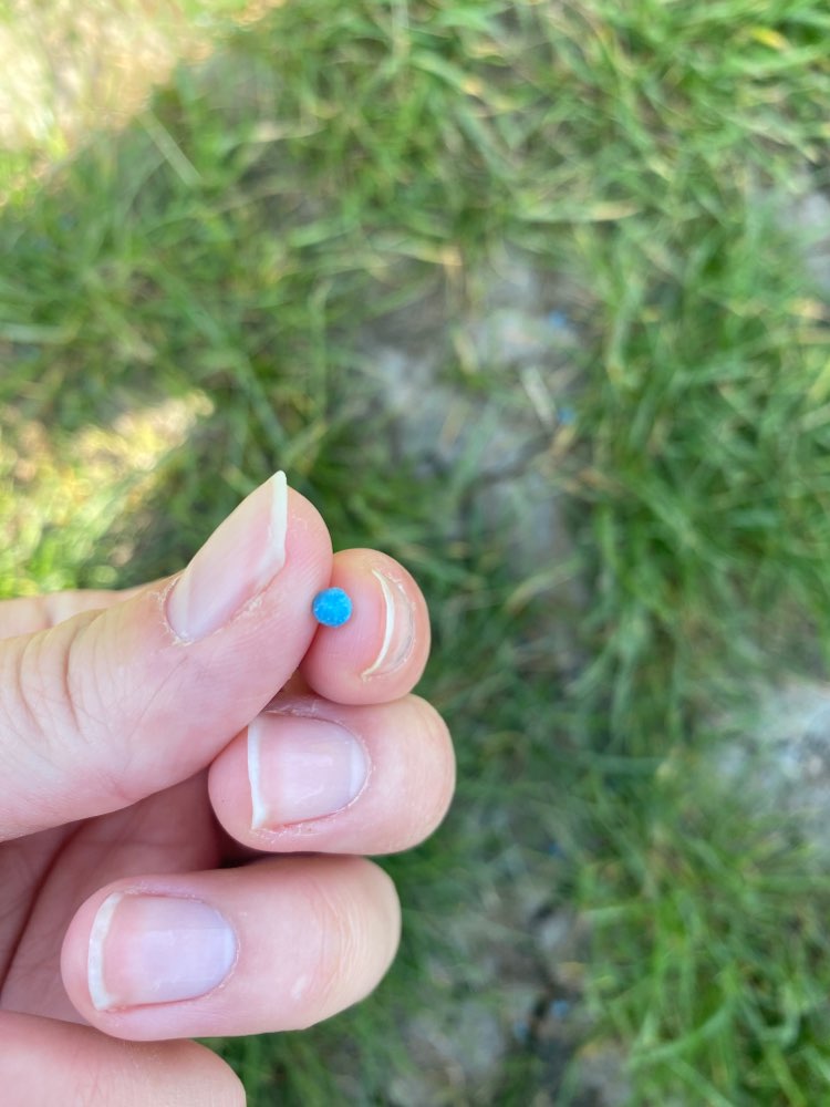 Giftköder-Blaue Kügelchen in Rielingshausen-Profilbild