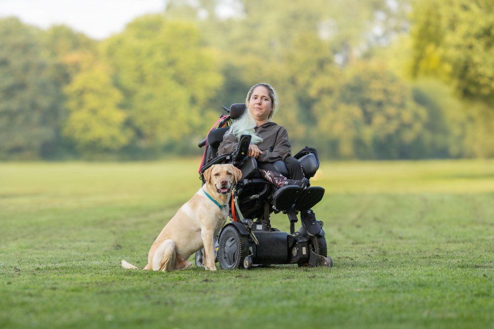 Hundetreffen-Zusammen gassi gehen-Profilbild