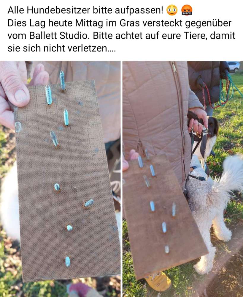 Giftköder-Ausgelegte Schraubenfalle-Profilbild