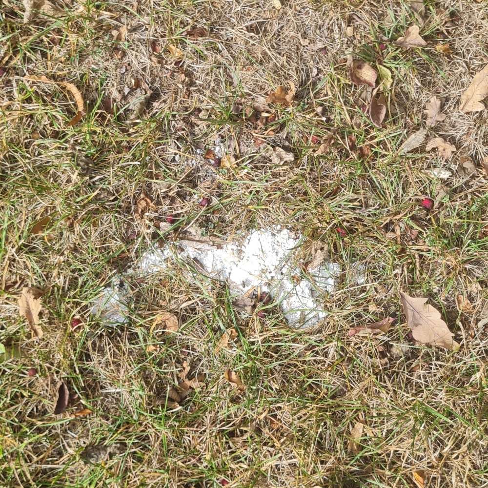 Giftköder-Weißes Pulver-Profilbild