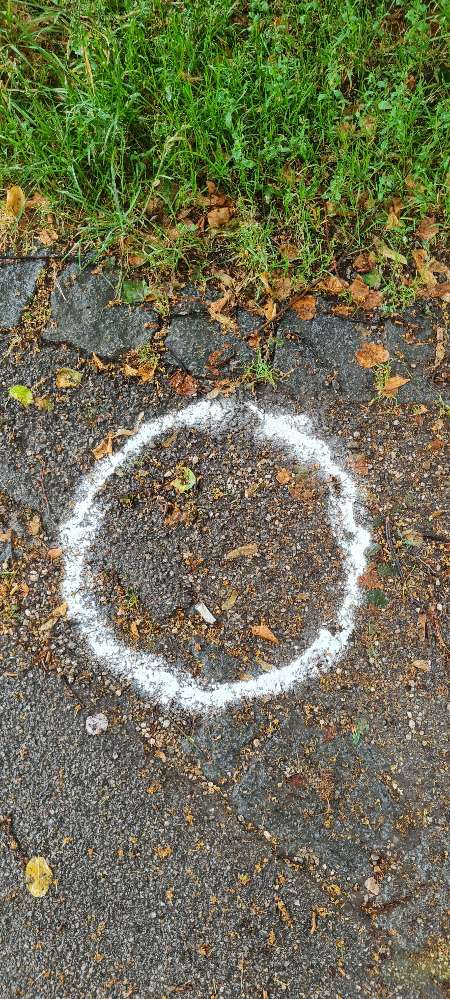 Giftköder-Weißes Pulver-Profilbild