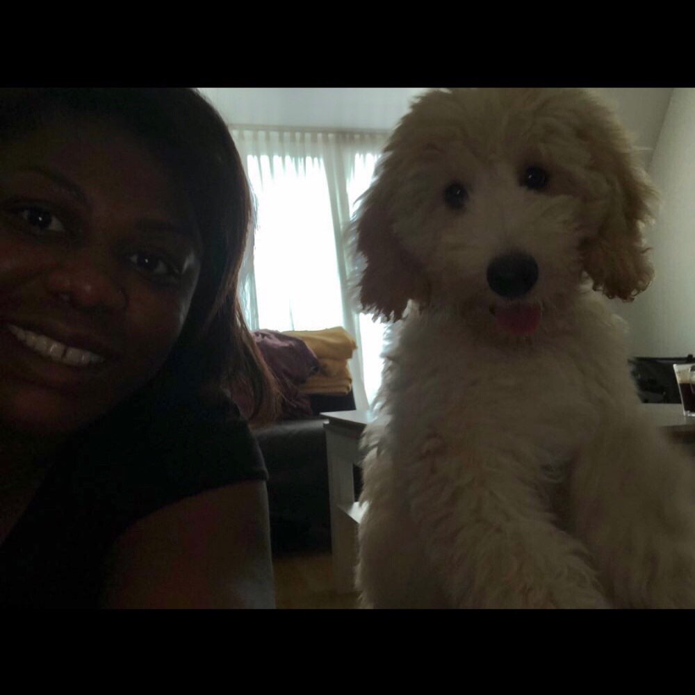 Hundetreffen-Welpentreffen- Schlosscharlottenburg-Profilbild